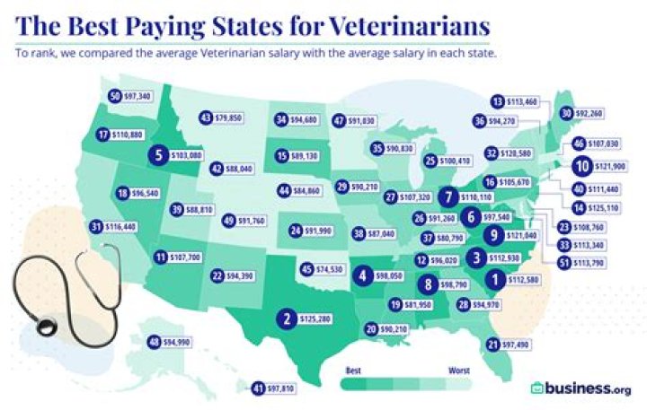 how much do vets make a year