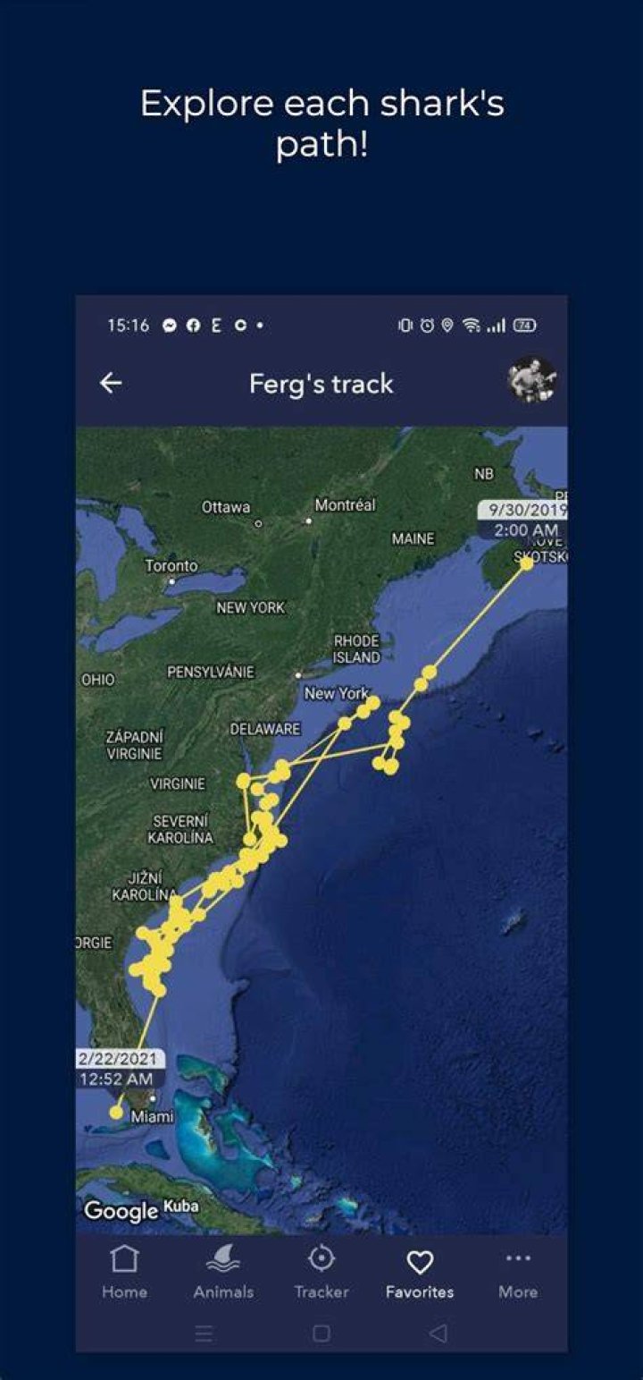 Is the Shark Tracker App real?