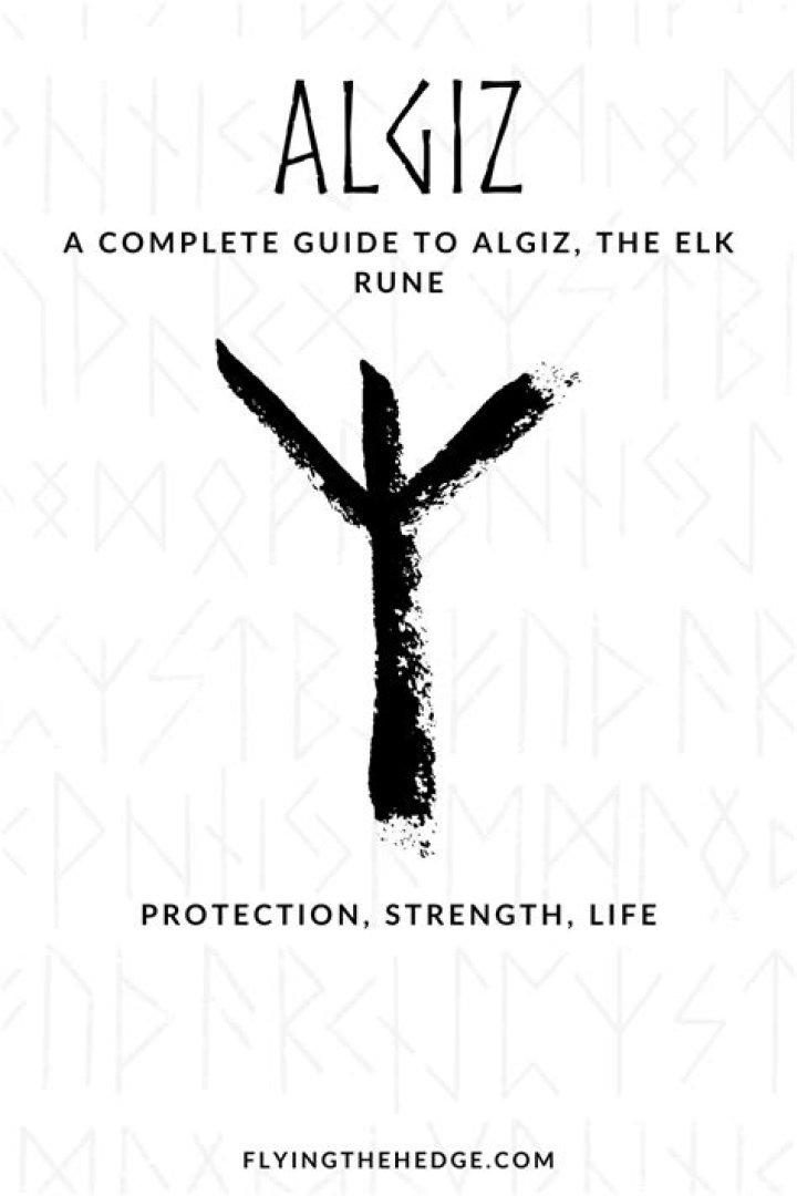 What does the Algiz rune symbolize?