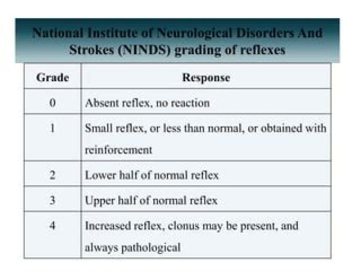 What is a normal reflex grade?